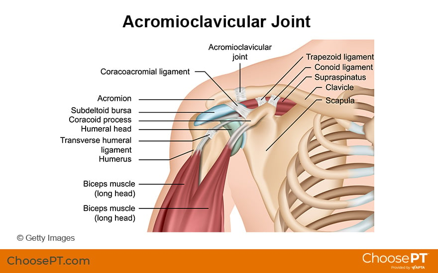 Guide  Physical Therapy Guide to Acromioclavicular Joint Injuries